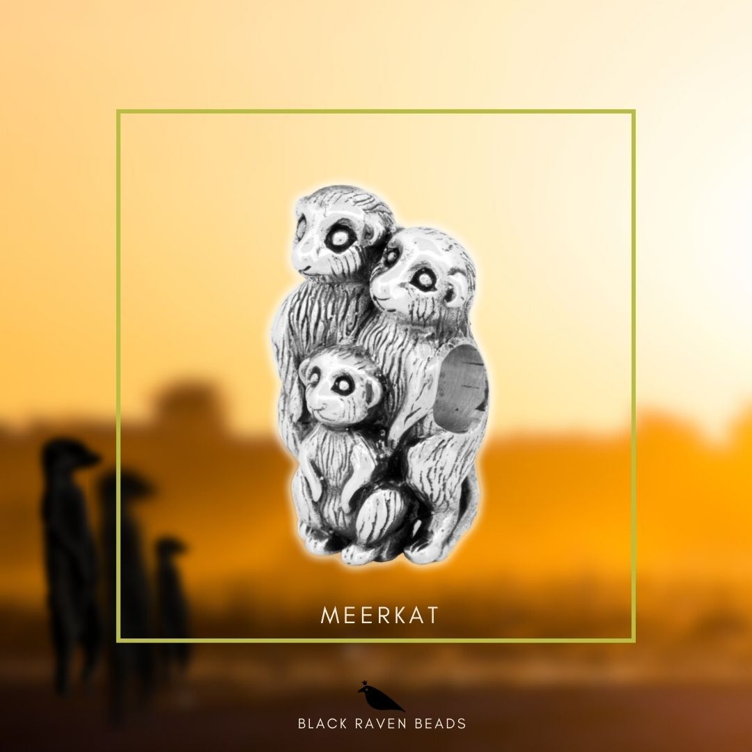 Meerkat Family
